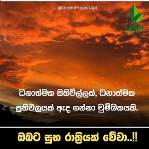 ඔබට සුභ රාත්‍රියක් වේවා...🙏 | Green Project Api