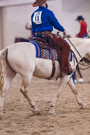From morning warm ups to show ready! Contact me via E-mail, messenger, or phone for business inquiries 📩 #cowboy #horse #horses #horsesofinstagram #horseriding #cowboylife #horselover #horsetraining #horsetrainer #horserider #horseriding🐴 #horsetransformation #horsemanship #mustangmakeover #horseman #horsephoto #wildhorses #cowboifestyle #horsepower #horse #horselife #horsephotographer #horseriders #ilovemyhorse #centaurhorsemanship #southpoint #lasvegas #mustangchallenge Arnall's Naturals Dal