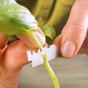 221K views · 137 reactions | Easy way to get from seed to sprout 華 | 5-Minute Crafts GIRLY | Facebook