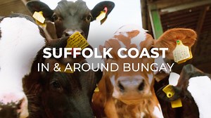 With scenic walking, great shopping, historic buildings, some of the finest food and drink producers in the UK, and of course, the wonderful River Waveney - Bungay is a town that has so much to recommend! Check out our guide and plan your visit this summer... 👉 www.thesuffolkcoast.co.uk/suffolk-coast-towns-and-villages/bungay #Suffolk #Bungay | The Suffolk Coast