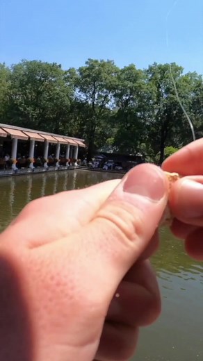 How To CATCH Fish, NYC! | The Skye Life - Fishing and Outdoor Adventures