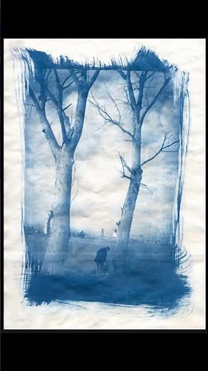 Alternative photo processes : Cyanotypes