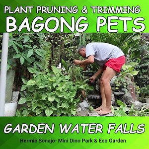 2.1K views · 34 reactions | Garden Prunning & Trimmings on Water Falls more videos???>>>https://youtu.be/83B-Uk4VOBM | Hermie Sonajo Plants | Facebook