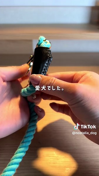 TikTokでNOSTALIA_DOGさんをチェック！