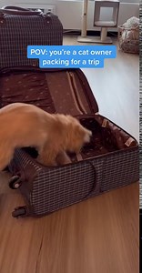 The most innovative solution to your litter box problems. | PrettyLitter