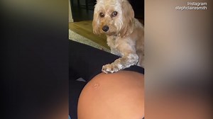 Pregnant Steph Claire Smith shares footage of her baby moving inside her belly