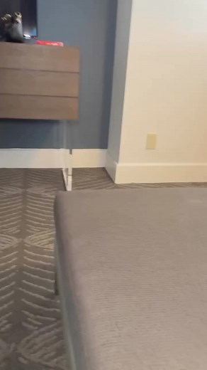 🇱🇷Chiling At beach. 🔥Hot day at Copacabana Beach in Brazil. . . . . #beach #beaches #reelsfb #viral #chill #funny #enjoy #rainydays #SummerSlam #NationalOysterday #miamibeach #miami #trending #spain #love #beautiful #beachwalk #spain #usa #india #germany #europe #barcelona #beauty #turkey #finland #uk #norway #itlay #australia #denmark #canada #southkorea #thailand #thailandtrip #switzerland #newzealand #sweden #france #spain #japanese #brazil #mexico #argentina #russia #russian | Fact buzz