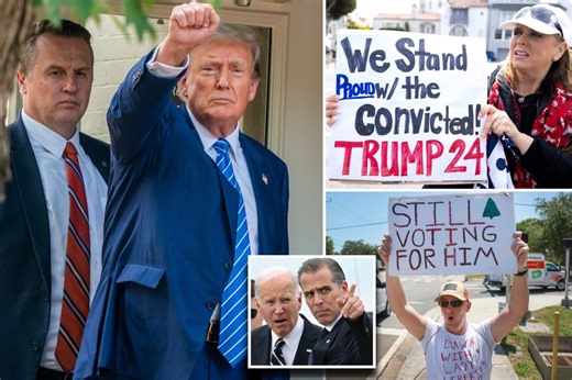 Majority of Americans believe Trump’s charges were more ‘politically motivated’ than Hunter Biden’s: poll