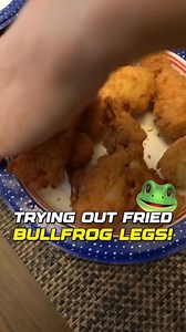 Trying Delicious Fried Bullfrog Legs from a Wild Catch 🐸🍽️ #FrogHunting #AdventureTime #CatchAndCook #WildlifeExploration #NatureLovers #OutdoorLife #VloggingAdventures #HuntingLife #UniqueExperiences #ExploreNature | Andrew Flair