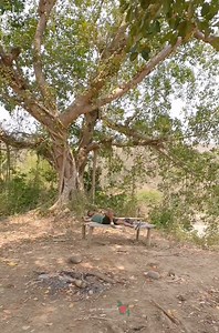 32K views · 1.1K reactions | অনেকটা পথ হেঁটে হেঁটে ঘুরে ফিরে আমি আজ ক্লান্ত... | Made In Bangladesh | Facebook