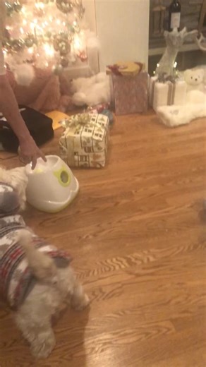 Ball Launcher | The Piper Chronicles