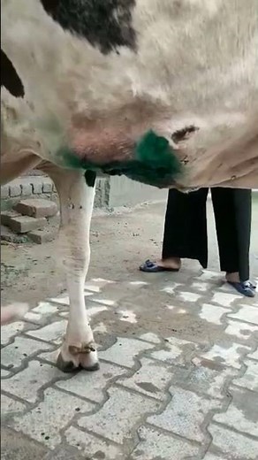 lmpi treatment recovery💉👍💯🙏