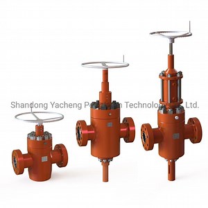 [Hot Item] API 6A Petroleum Wellhead Equipment Hydraulic and Manual Mud Gate Valve