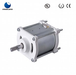 [Hot Item] Electric 12/24V DC Hand-Held Electric Polishing Permanent Magnet Motor for Electric Razor/Electric Shaver