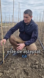 84K views · 2.8K reactions | Un mod controlat de creștere rapidă a puieților de stejar roșu (Quercus rubra) | Pădurile din România | Facebook