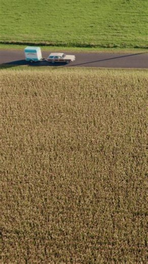 We will "buenos dias" at Brenden Theatres for A Minecraft Movie! 🤣 | Brenden Theatres Modesto 18