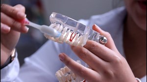 #ConsejosDentalindo La doctora Alejandra Galindo enseñando un correcto cepillado dental. | Dentalindo | Facebook