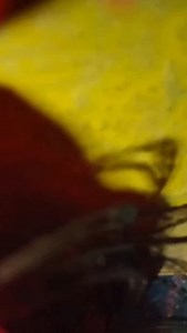 Nihar Ranjan Tulu on Reels