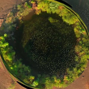 Seven Worlds One Planet | BBC Earth