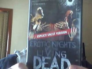 Director Spotlight Joe D'amato