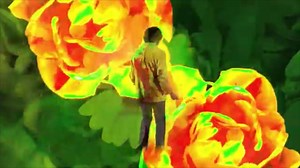 AcidBox Promotions on Reels | Facebook