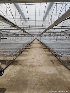 [Hot Item] Greenhouse Inverted Sprinkler Sprinkler Drip Irrigation System Automatic Sprinkling Farming Agricultural