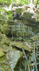Injecting Eosine into this sinking stream here in Tennessee as part of a dye trace study. #Tennessee #caves #science | TAG Caver