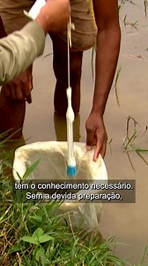 5.5K views · 15 reactions |  O peixe é a carne do futuro e tem muito...