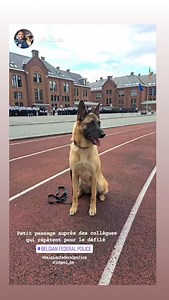 20 reactions | Belgian Federal Police on Reels | Facebook