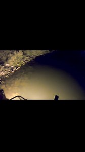 Night fishing for carp with bows and arrows! #thwack #bowfishing #fishing #hunting #carp #carpfishing #forcefeedem #bowfishinglife | Stromquist Outdoors