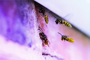 DevOps Assurance with OWASP SAMM