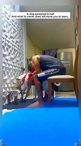 Watch more: https://dailycat.feji.io/blog/250992 | Constantine Maroulis