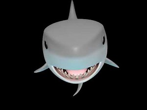 shark pog