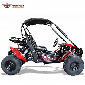 [Hot Item] Buggy Shipping Go Cart Gas for Adults