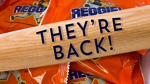 🎉 Guess what, everyone? The long-awaited moment has arrived! 🍫 After years of absence, the legendary Reggie Bars are BACK and better than ever! 😍 🙌 https://www.oldtimecandy.com/collections/walk-the-candy-aisle-reggie-candy-bar/products/reggie-candy-bar Get ready to indulge in the nostalgia of this beloved treat that's filled with gooey caramel, crunchy peanuts, and covered in rich chocolate. 🥜🍫 Don't miss out on this sweet comeback. Tap the link above and grab a Reggie Bar today! 🌟 #backi
