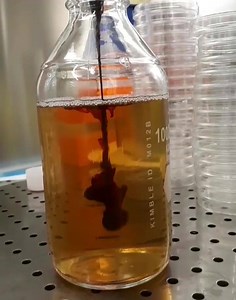 Blood Agar 👨🏼‍🔬🔬 #science #agarsangue #plate #media #petridish #blood #microbiologiaitalia #microbiology #bloodagar #lablife #laboratory #bacteria #research #scienceporn | Microbiologia Italia