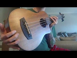 An in depth look at my Hadean UKB-23C UBass