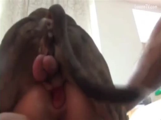 My dog knott experience