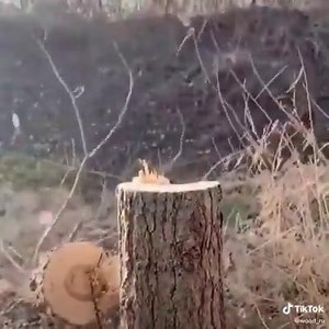 11K views · 105 reactions | Smart woodworking | ABC Woodworking Tools | Facebook