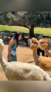 Endeavour Wellness on Reels