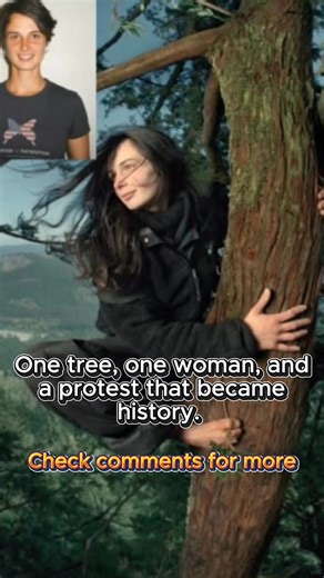 738 days in a tree without ever touching the ground—discover the remarkable story of the woman who stood up for nature and won. | Female Problems | Facebook