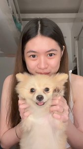 38K views · 4.3K reactions | izle da dog #Ellemaculada | Elle Maculada | Facebook