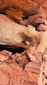 165K views · 4.5K reactions | My external hard drive is still in Moab. With that said, I didn't know I have access to lots of my videos on Google Photo that auto backups my phone. It's getting closer to fall, which is my favorite time of the year to get dust in my eyes, sun on my skin, cracking leafs under my shoes, and the world off my mind. #hiddeng #hiketok #natureheals #summeractivies #trektok | The Outdoor Adventure | Facebook