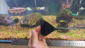 CXY Aquarium Algae Scraper for Glass, 21.5" Fish Tank Cleaner with 10 Stainless Steel Blades - Long Handle Scraper Tool, Essential Fish Tank Accessories & Cleaning Kit