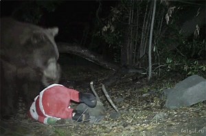 Turtle Island Kayaks on Reels