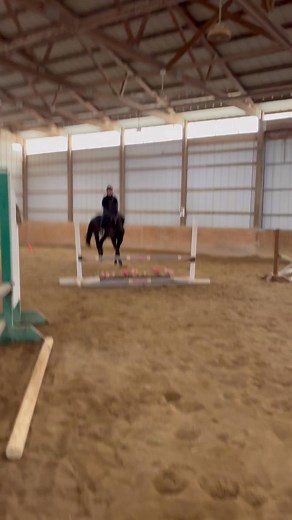 Riders and horses having fun and working hard at the same time! | Driftwood Farm Inc.
