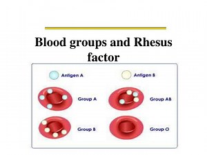 Blood groups and Rhesus factor - SlideServe