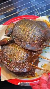 Healing stress-relieving food, overturning your taste, roasted turtle is the perfect match 😱 #gourmetfood #decompressdaily #fooddaily #turtle | Indian Food Vlog