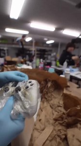 21K views · 141 reactions | We had to REFUSE this mail in #customcontroller. #arcraiders #battlefield6 #warzone | Cinch Gaming | Facebook