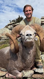 4.5K views · 1.6K reactions | Massive Hangay Argali we got this season in Mongolia. #hunting #sheephunting #mountainhunting | Great European Hunts | Facebook